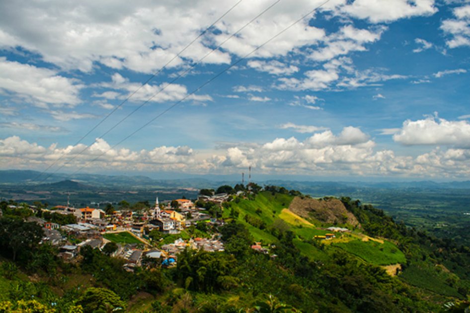 Buena vista